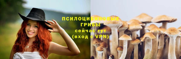 прущий лед Лабытнанги
