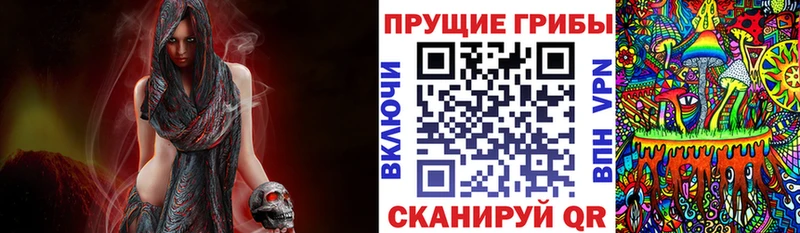Псилоцибиновые грибы Magic Shrooms Купить закладки Андреаполь